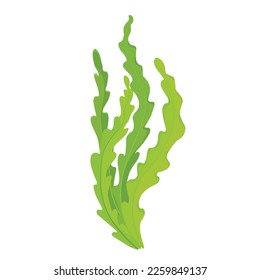 Seaweed. laminaria vector illustration. Cartoon seaweeds, kelp and corals. Aquatic plants with leaves. Natural marine and aquarium elements, water decor objects.