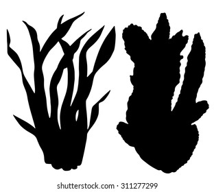 Seaweed, leaves black silhouettes set closeup isolated on white background 