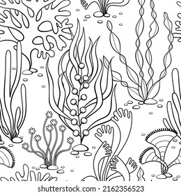 Seaweed in a line style. Seamless vector pattern on a white background. The print is great for textiles and wallpapers.