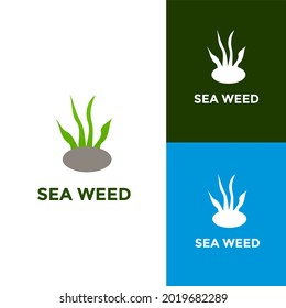 Seaweed logo design icon template on isolated background, alga logo symbol