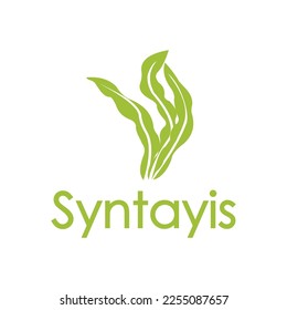 seaweed logo design vector idea