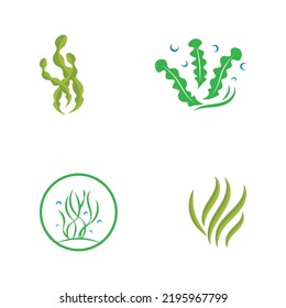 seaweed logo design with vector illustration