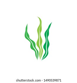 Seaweed Logo Template Vector Icon Stock Vector (Royalty Free ...
