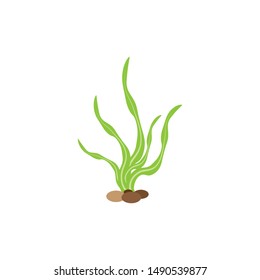 Seaweed logo template vector icon