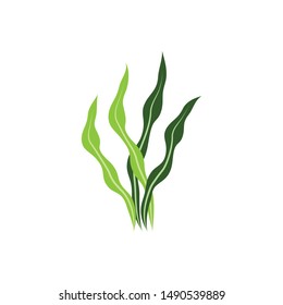 Seaweed logo template vector icon