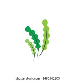 Seaweed logo template vector icon