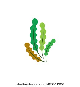 Seaweed Logo Template Vector Icon