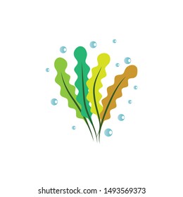 
Seaweed logo template vector icon