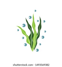 
Seaweed logo template vector icon