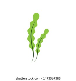 
Seaweed logo template vector icon