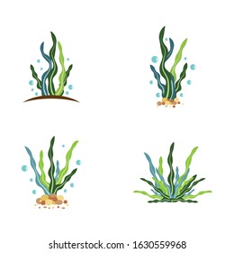 Seaweed logo template vector icon illustration design