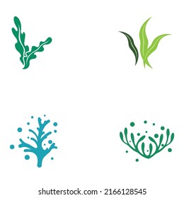 Seaweed logo with vector illustration design. 