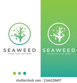 Seaweed logo with vector illustration design. 