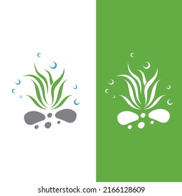Seaweed logo with vector illustration design. 
