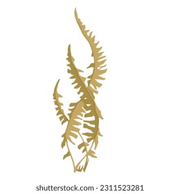 Seaweed. Marine flora. Vector graphics.