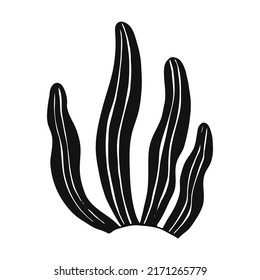 Seaweed. Marine plants are isolated. Hand drawn illustration converted to vector.
