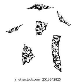 Seaweed nori flakes, dried bark chips, dead leaves, skin fur peels, shredded paper with ink paint stains. Illustration hand drawn in vector pen and ink for shop poster, nature brochure, abstract art