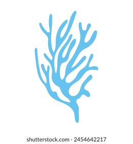 seaweed on seabed concept macroalgae on a white.