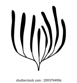 Seaweed on a white background, silhouette logo