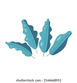 Algas en un fondo blanco. ilustración vectorial