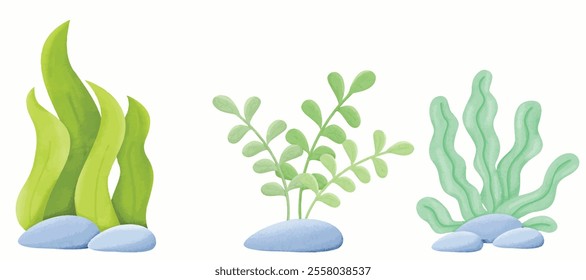 Seaweed Pack Element watercolor vector for bakcground