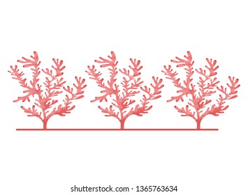 seaweed pattern isolated icon