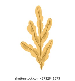 As algas marinhas são perfeitas para criar e decorar desenhos com um tema náutico pirata. Elemento de design vetorial