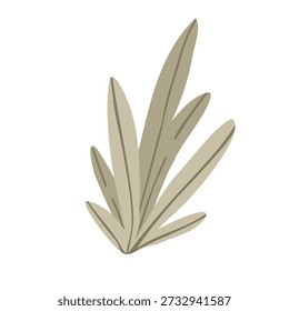 As algas marinhas são perfeitas para criar e decorar desenhos com um tema náutico pirata. Elemento de design vetorial
