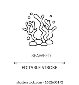 Seaweed pixel perfect linear icon. Natural component. Skincare treatment. Marine grass extract. Thin line customizable illustration. Contour symbol. Vector isolated outline drawing. Editable stroke