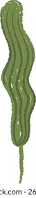 A seaweed plant drawn with crayon-like texture and wavy lines. The illustration depicts an underwater plant with a textured, flowing appearance. Cartoon vector illustration.