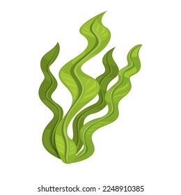 Seaweed plant symbol cartoon illustration vector