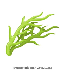 seaweed plant symbol object cartoon illustration vector