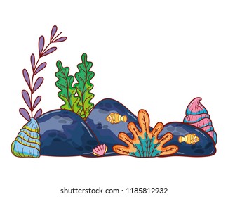 seaweed plants with oyter style and stones