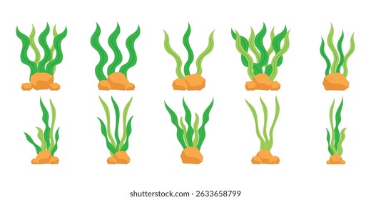 Algas con roca Ilustración Vector Colección