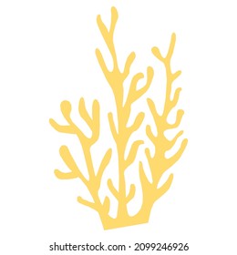 Seaweed, sea and coral vector illustration