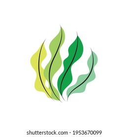 seaweed sea of nature logo vector illustration design