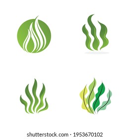 seaweed sea of nature logo vector illustration design