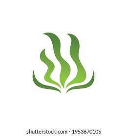 seaweed sea of nature logo vector illustration design