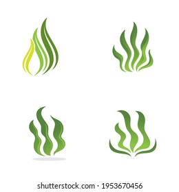 seaweed sea of nature logo vector illustration design