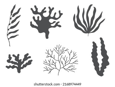 seaweed sea silhouette vector set.