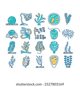 Algas marinas bajo el agua planta Doodle iconos conjunto Vector Boceto línea arte Padina y algas japonesas, sargazo Horneri y arthrospira plantesis, undaria plumose y egagropylus hierbas contorno ilustraciones