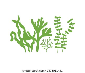 seaweed seafood. vitamins and minerals. sketch silhouette