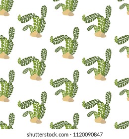 Seaweed seamless pattern