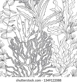 Seaweed. Seamless vector pattern with underwater plants. Abstract floral background.Black and white.