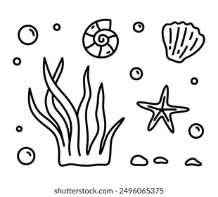 Algas y conchas marinas aisladas sobre un fondo blanco. Vector ilustración dibujada a mano en estilo doodle. Perfecto para el logotipo, varios diseños. Mundo submarino.