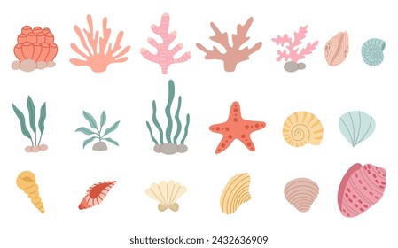 Seaweed and seashells set vector flat. Cute decor for your design