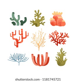 Seaweed set, colorful underwater marine plants vector Illustrations on a white background