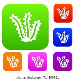 Seaweed set icon color in flat style isolated on white. Collection sings vector illustration