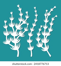 Seaweed set. Leaves of an underwater plant, long wavy branches. Green algae hara (Chara, Charophyceae, Charophyta). Template for plotter laser cutting of paper, fretwork, wood carving, metal engraving