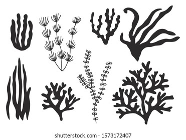 Seaweed Set. Silhouette On A White Background Sketch